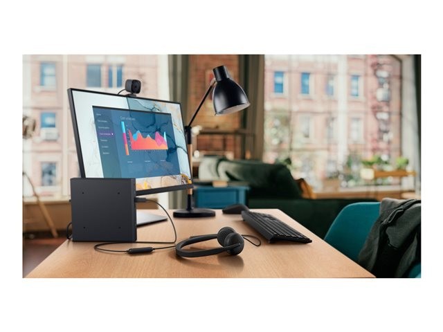 Dell Wired Headset WH3024 - headset - USB-C